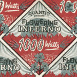 Quantic Presenta Flowering Inferno - 1000 Watts