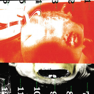 pixies-head-carrier