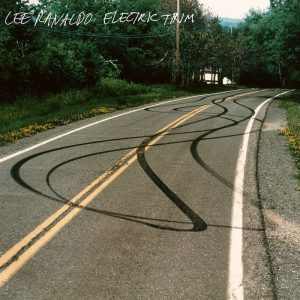 Lee Ranaldo - Electric Trim