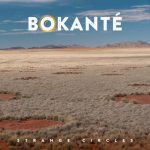 Bokante – Strange Circles