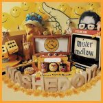 Washed Out – Mister Mellow
