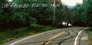 Lee Ranaldo - Electric Trim