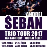 Andrej Seban plagat2017