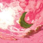 Django Django – Marble Skies