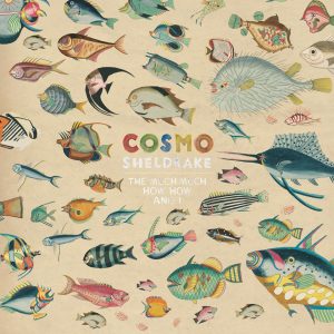 Cosmo Sheldrake - The Much Much How How and I