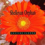 Shelleyan Orphan – Century Flower