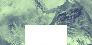 Worldwide-30 Years of Real World Music