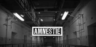 Film Amnestie