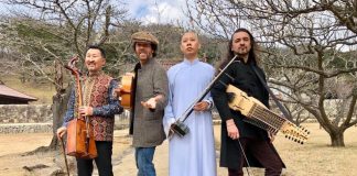 Duplessy & The Violins of the World - Brothers of Strin