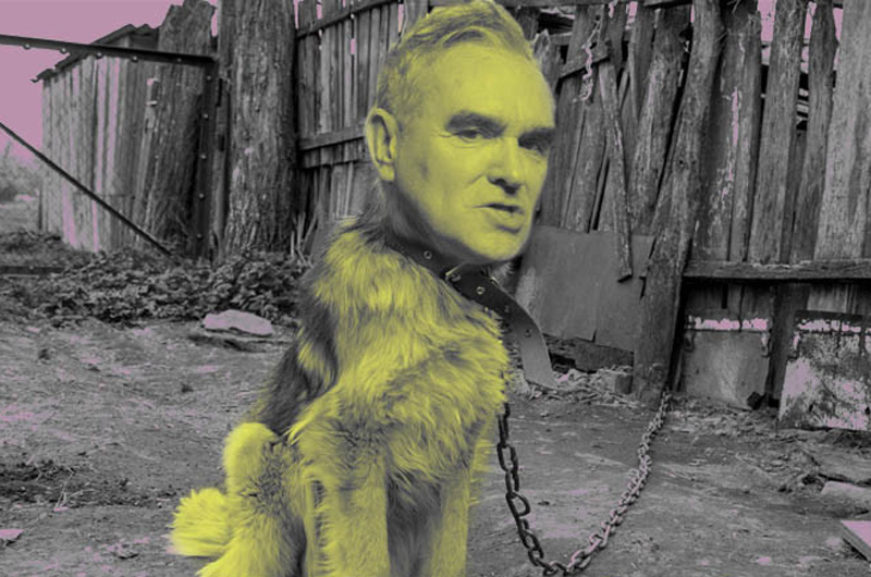 Morrissey - I Am Not a Dog on a Chain