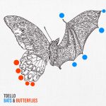 Toello-Bats-Butterflies