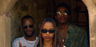 Wakanda Wision
