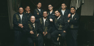 Los Mirlos